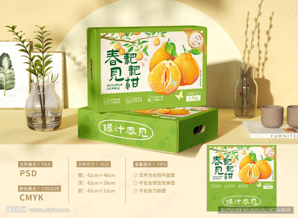 耙耙柑插画包装