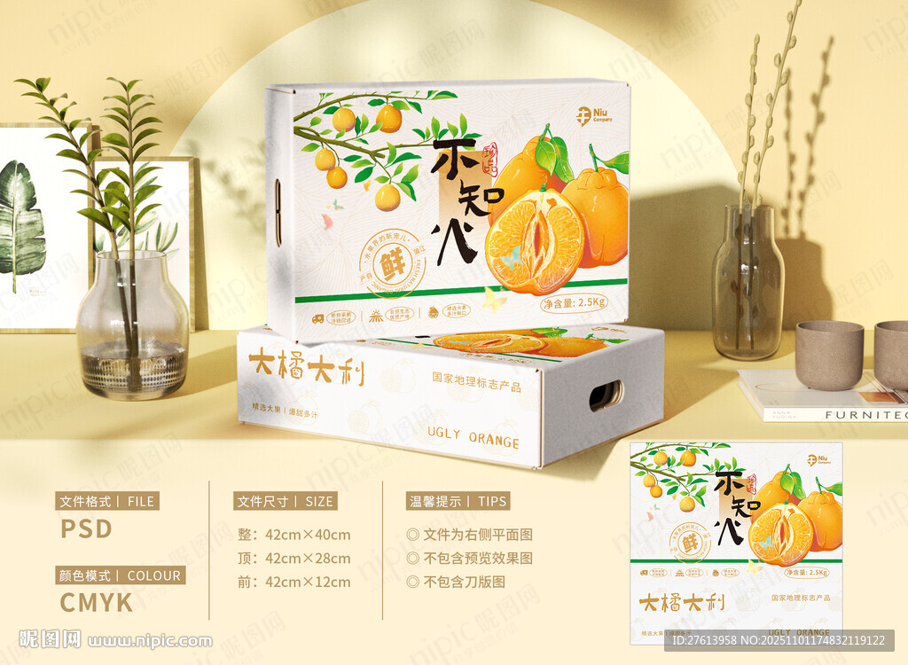 手绘丑橘包装礼盒