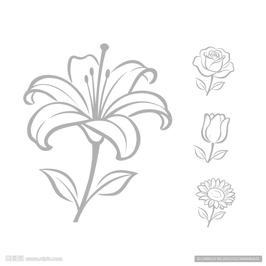 花卉线条图案设计素材