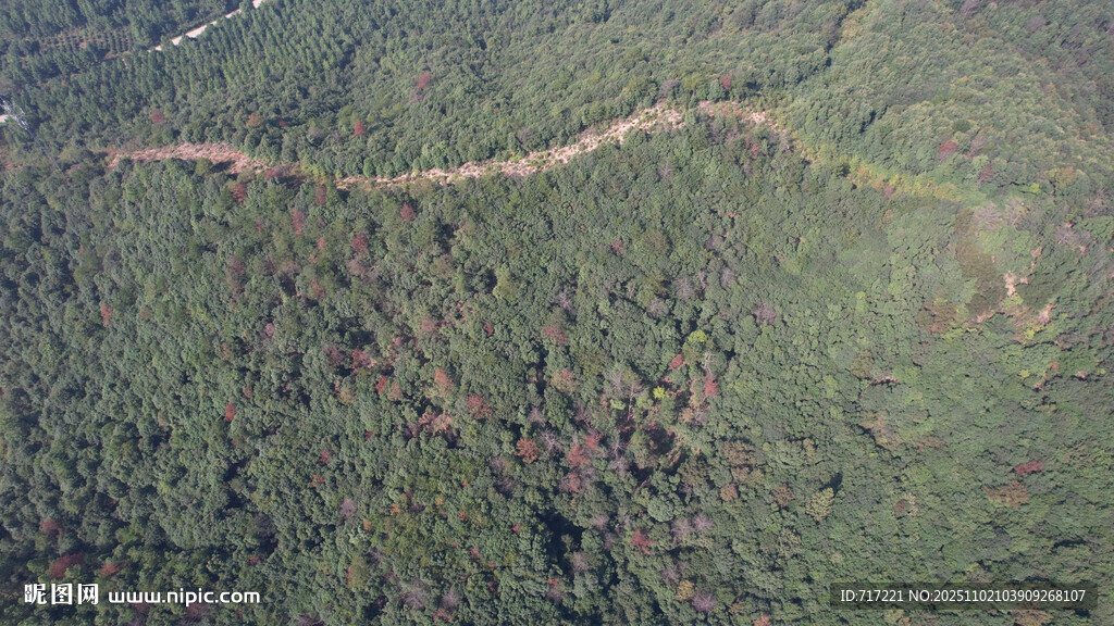 空中俯瞰蜿蜒山林小道 森林