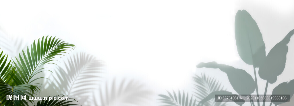 雾气磨砂膜效果绿植贴图