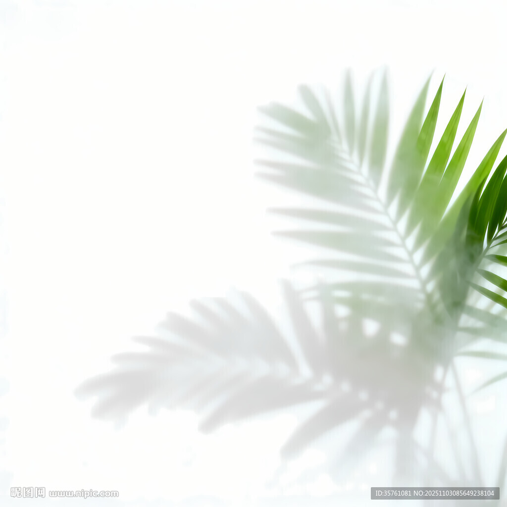 雾气磨砂膜效果绿植贴图