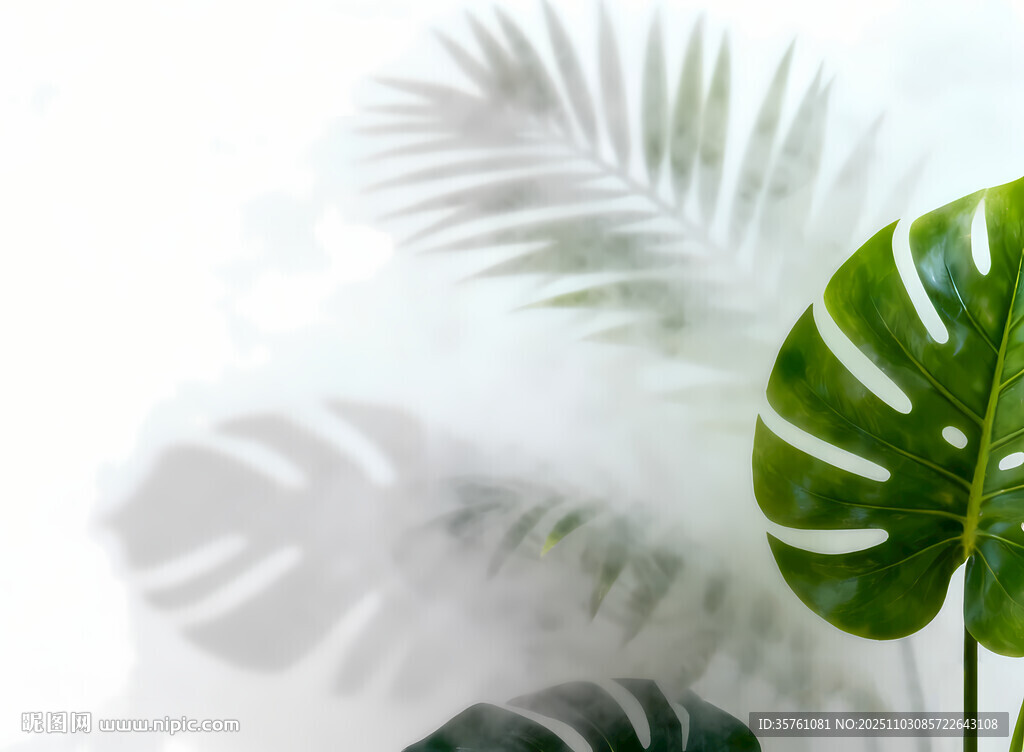 雾气磨砂膜效果绿植贴图