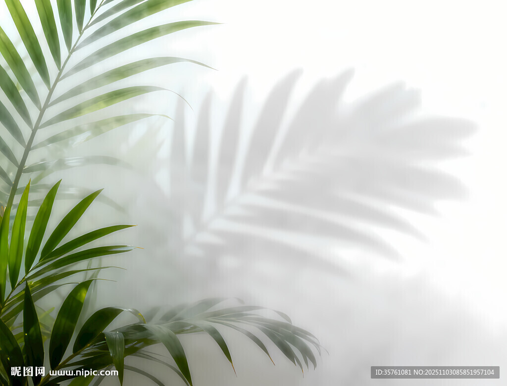 雾气磨砂膜效果绿植贴图