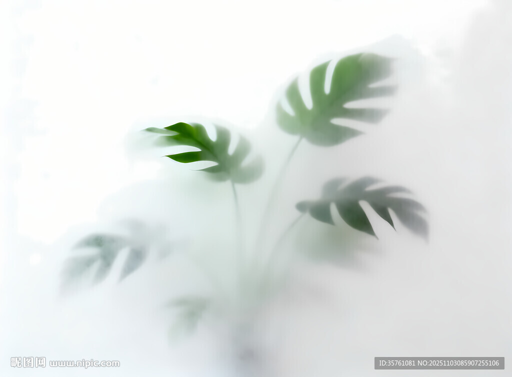 雾气磨砂膜效果绿植贴图