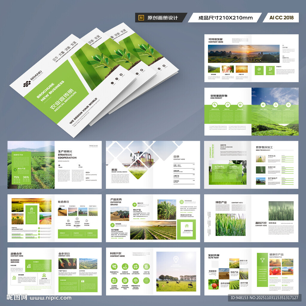 方形农产品宣传册