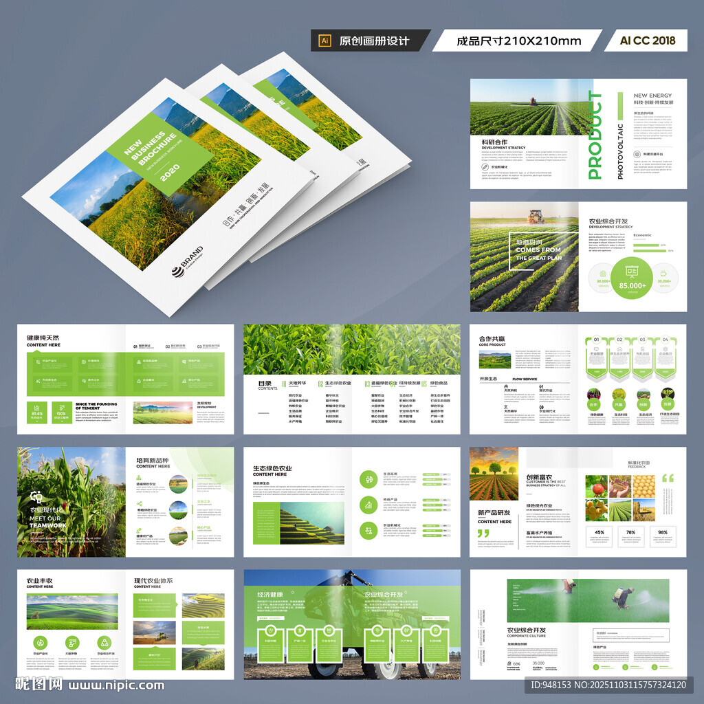 方形农产品宣传册