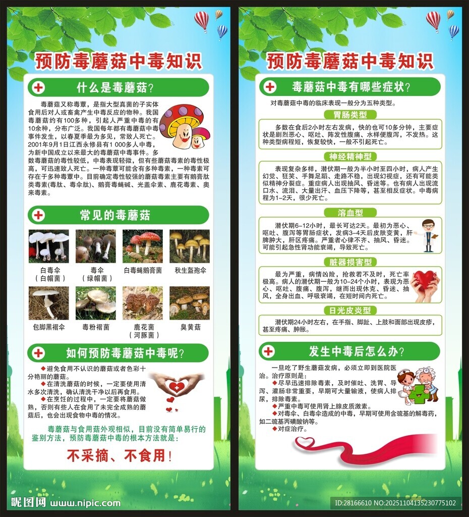 预防毒蘑菇中毒知识展架