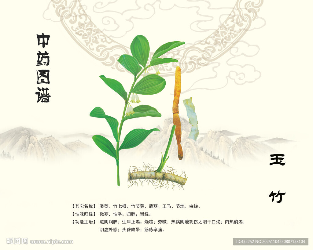 中药玉竹中药材玉竹