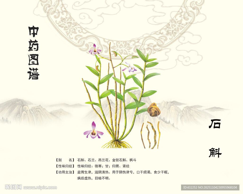 中药材石斛植物图示