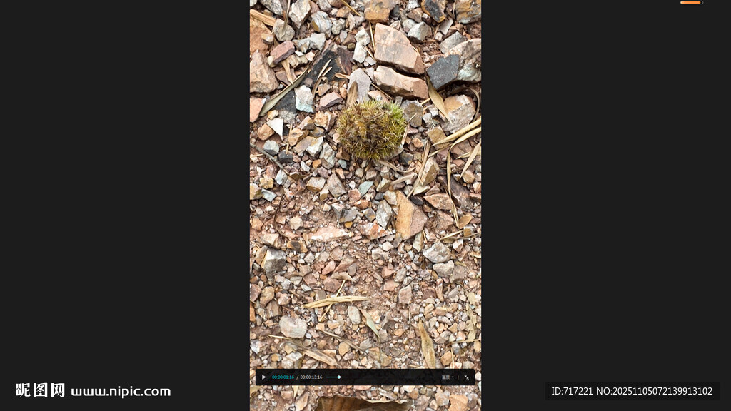 地面上的碎石与杂物