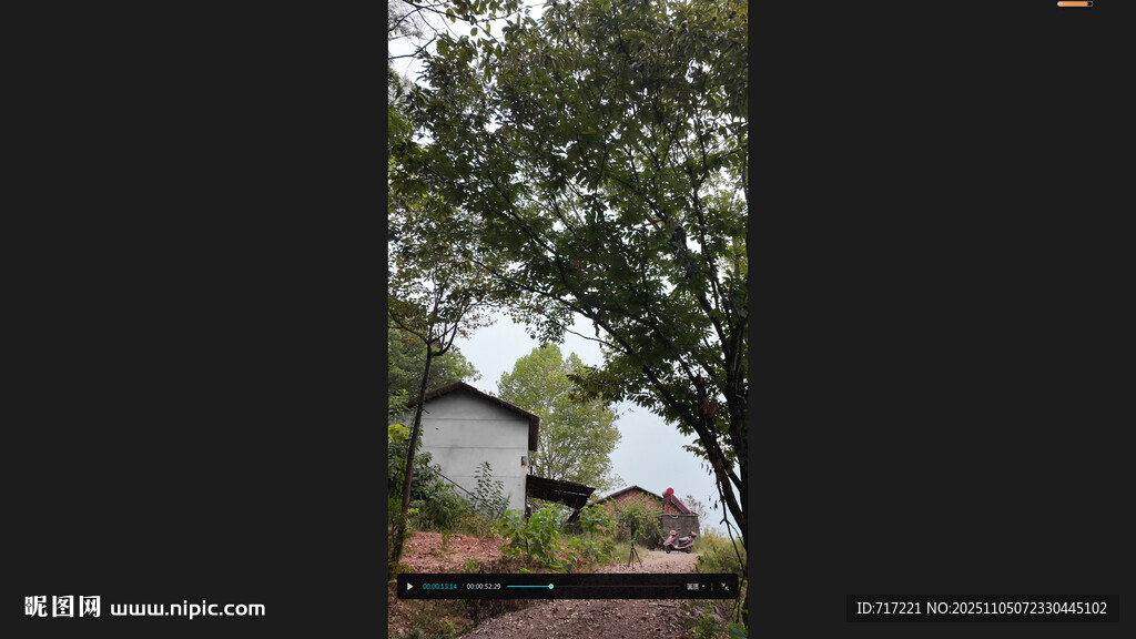 绿树掩映下的小屋打板栗