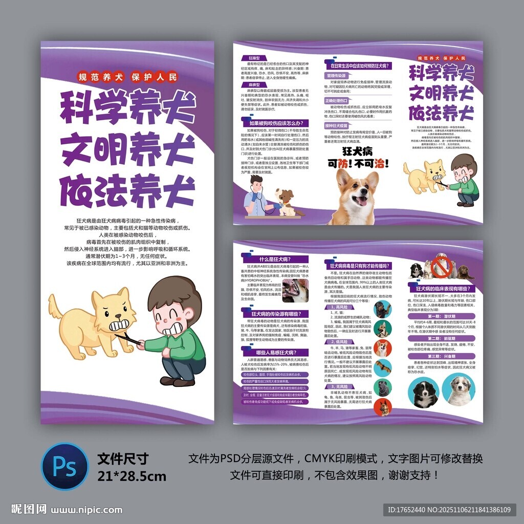 科学养犬三折页