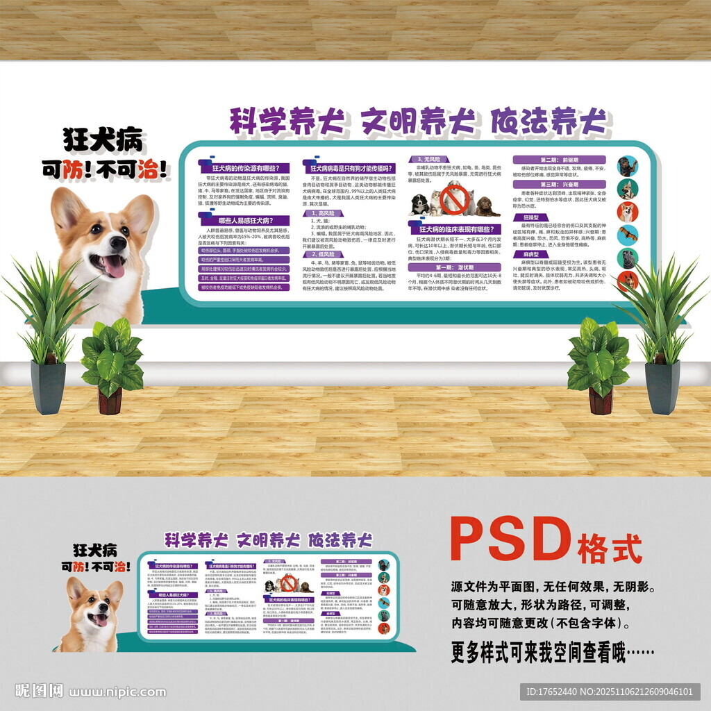 科学养犬文化墙