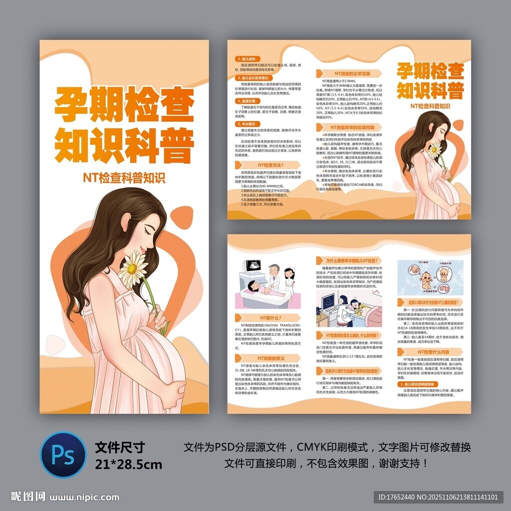 NT筛查健康知识