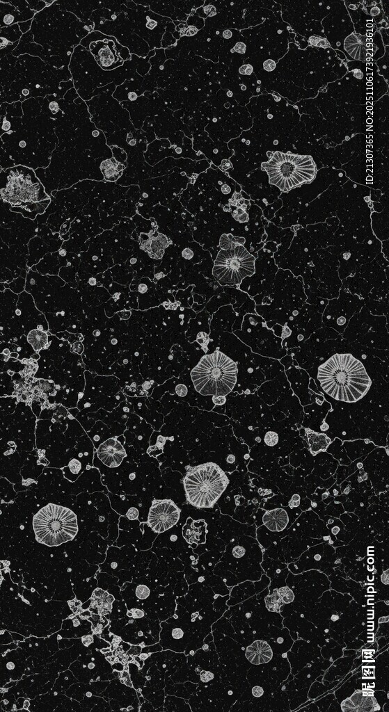 黑色背景上的白色气泡