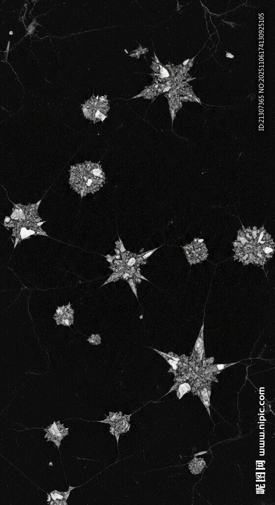 银色星星装饰散落在黑色背景