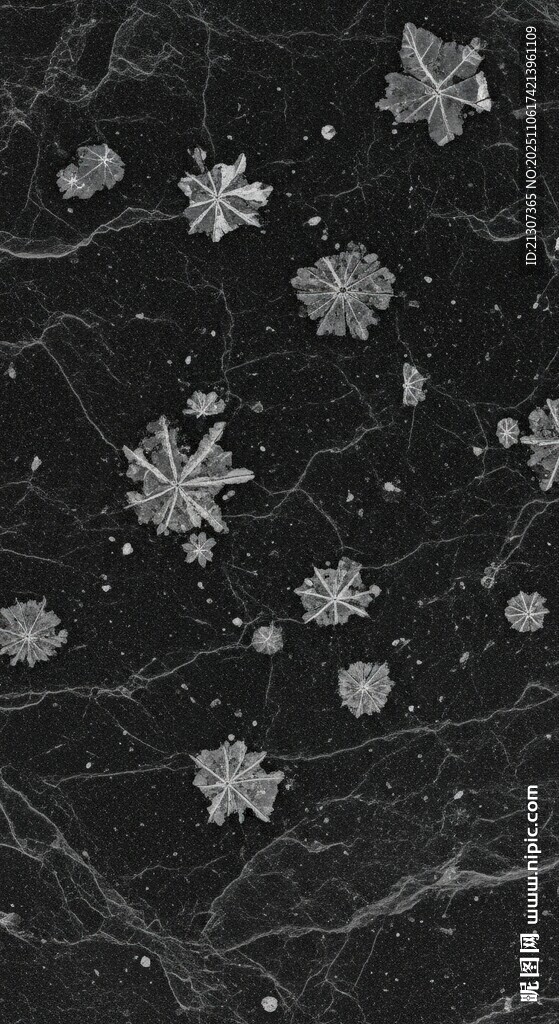 黑色背景上的精致雪花图案