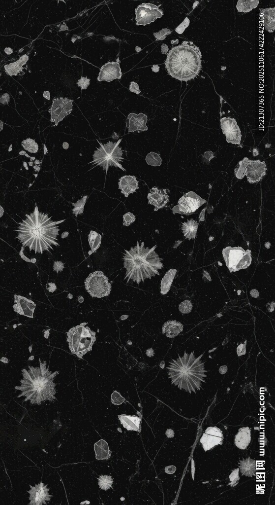 黑白抽象雪花散布画面