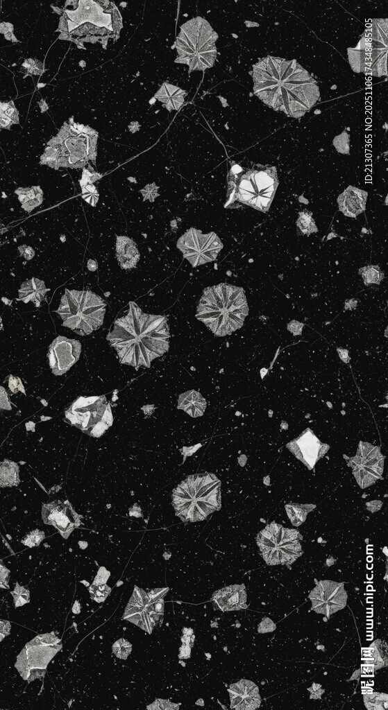 黑色背景上的白色颗粒