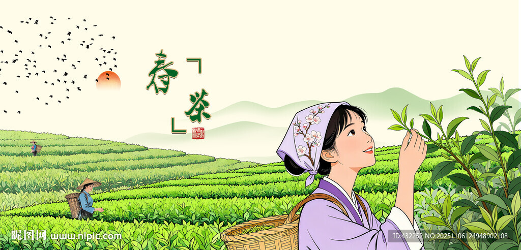 茶园采茶女新茶春茶