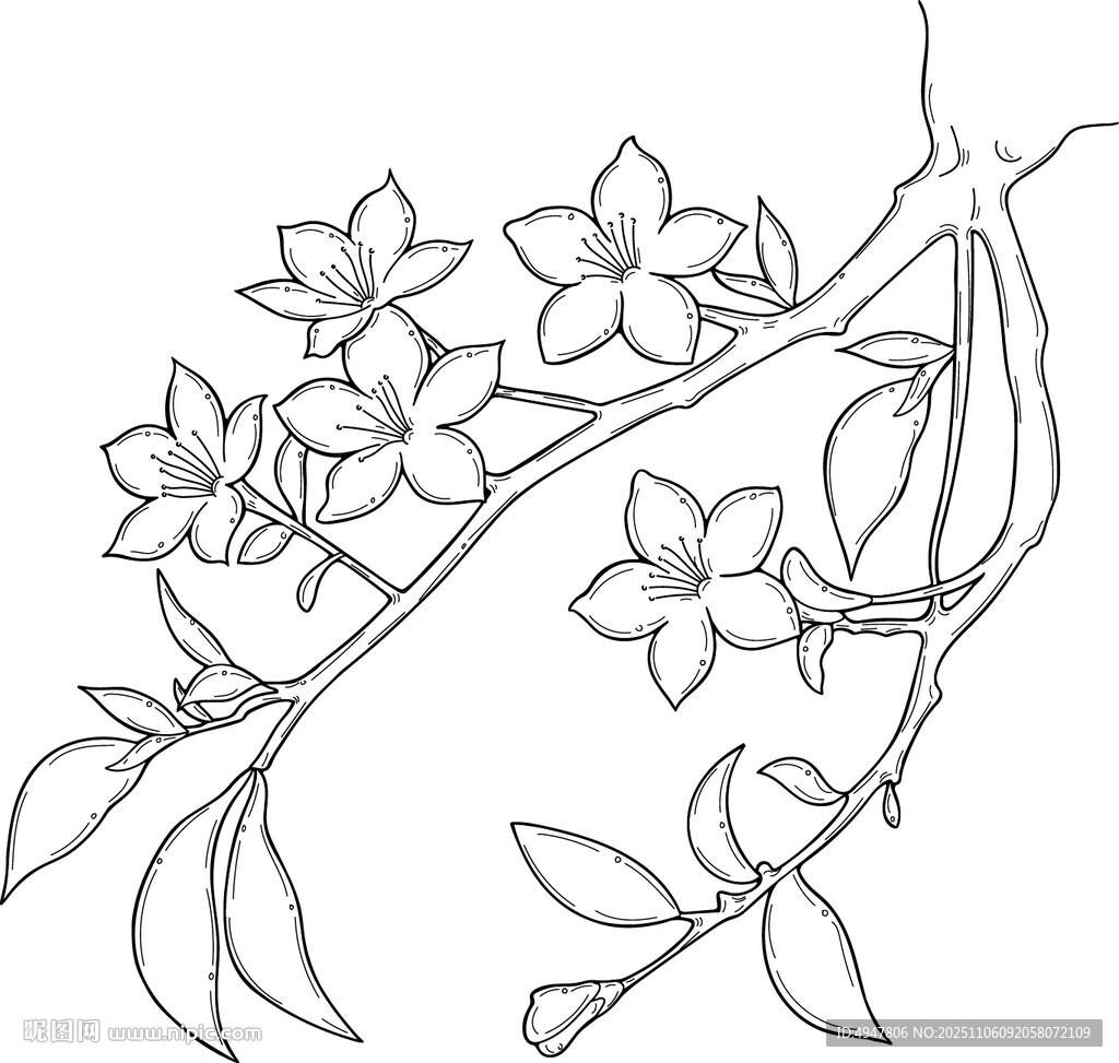 手绘花卉枝条图案 矢量图