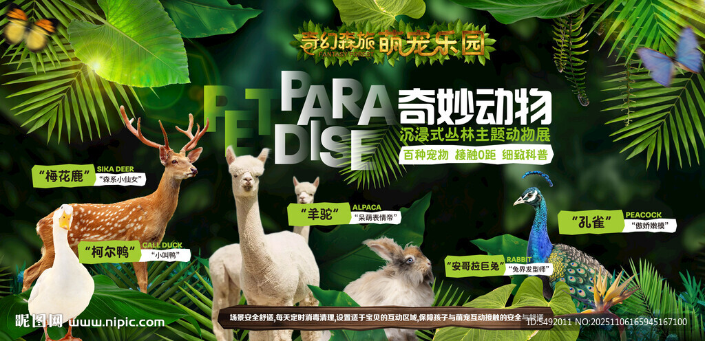 多样萌宠齐聚奇幻森林