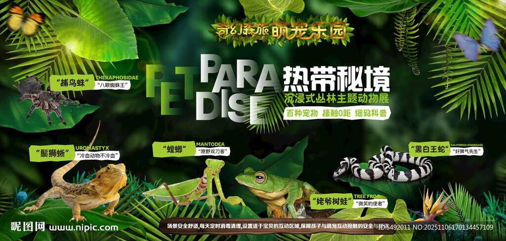 丛林探险主题活动宣传图