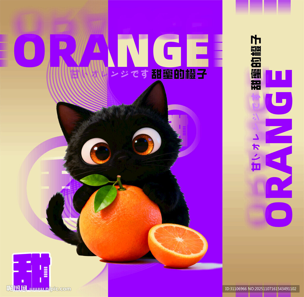 黑猫抱橙 萌趣活力瞬间