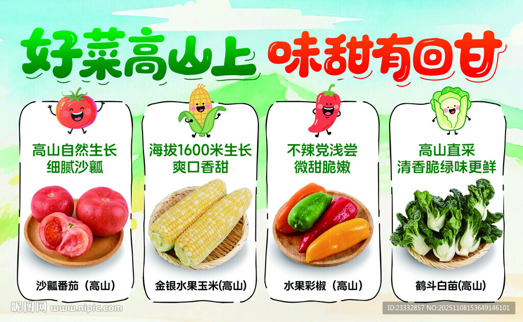 高山好菜 味甜有回甘