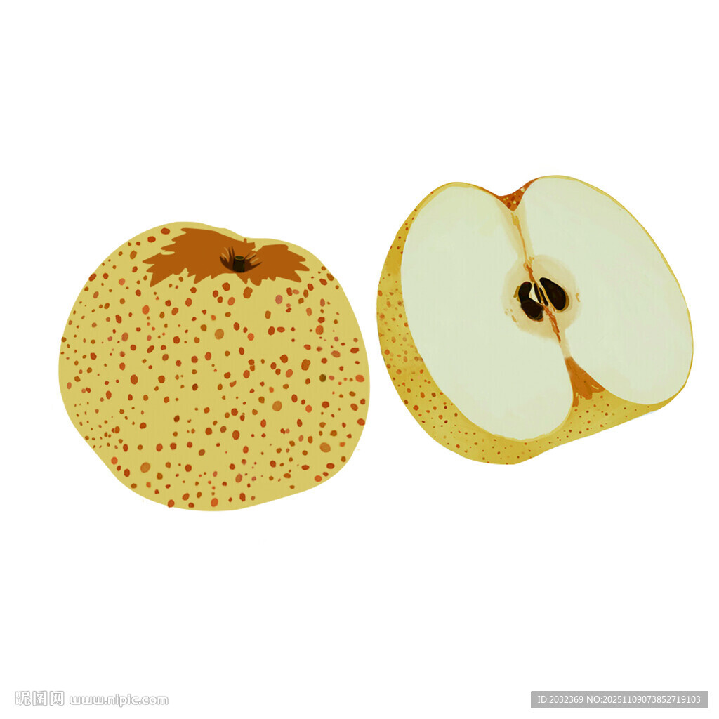 新鲜带斑点的梨及切面  手绘梨