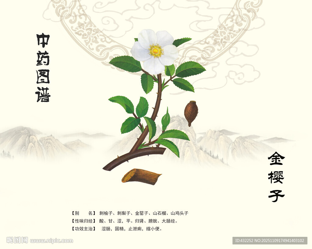 金樱子植物植株