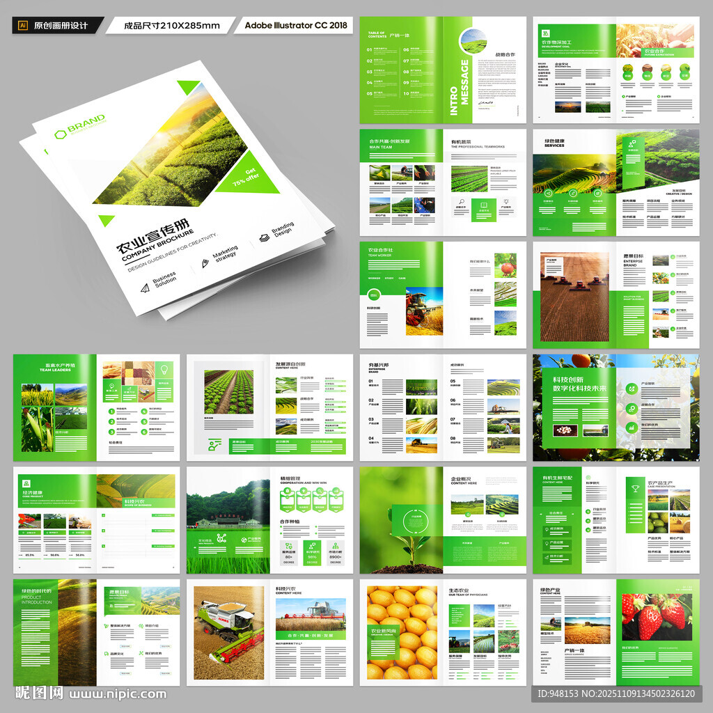 农产品宣传册