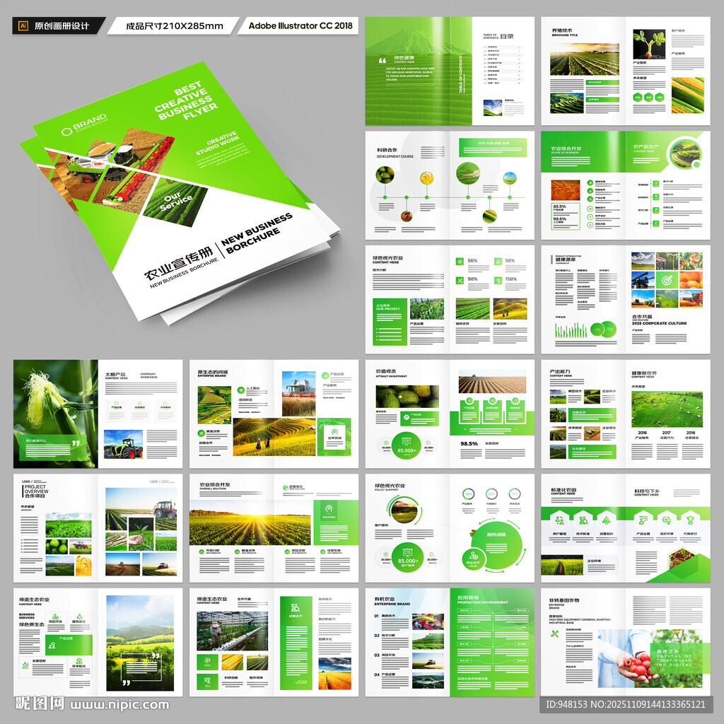 农产品宣传册