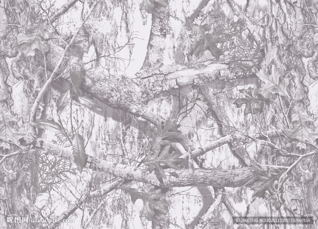 冬日枯树林黑白景象