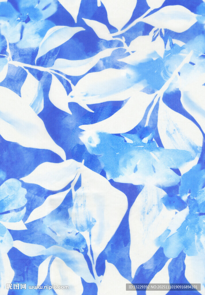 扫描蓝白水彩风叶片照片