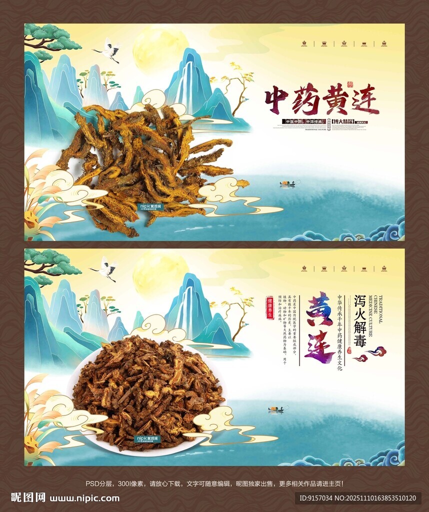黄连海报