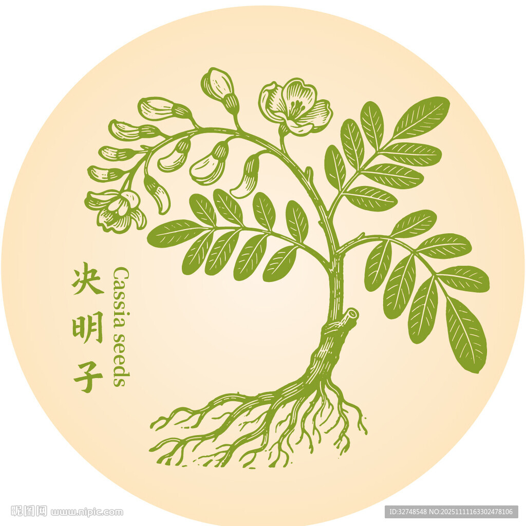 圆形插画中的决明子植物