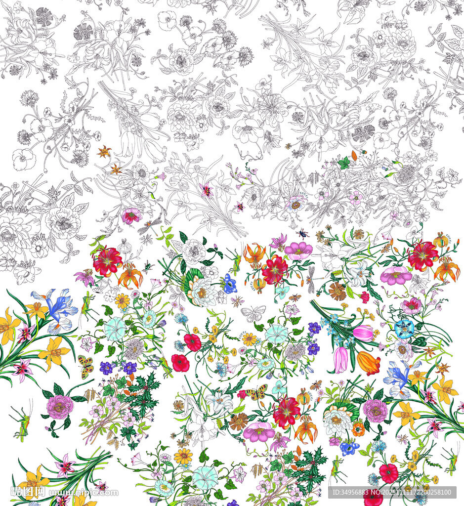 彩色花卉图案与黑白线稿对比