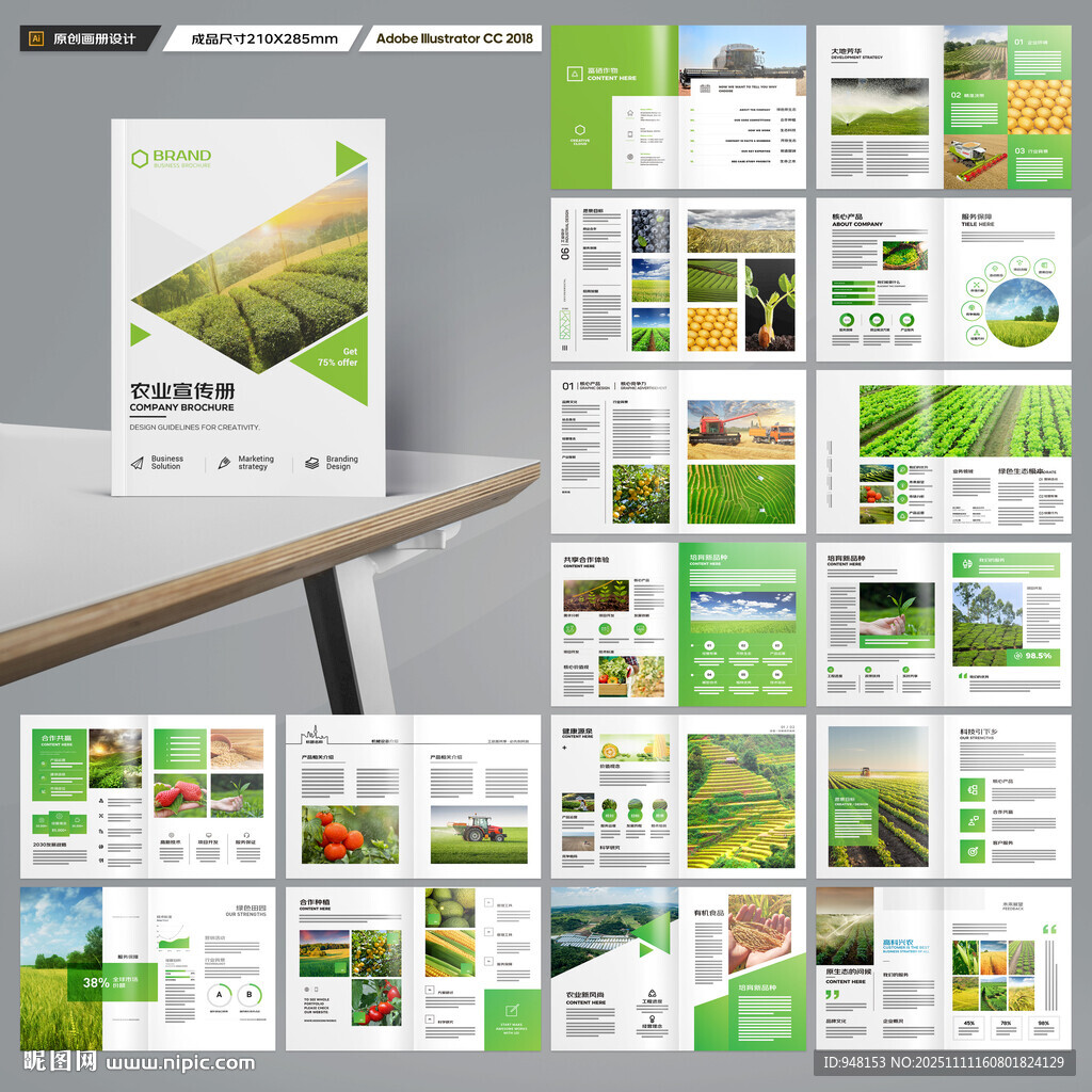 农产品宣传册