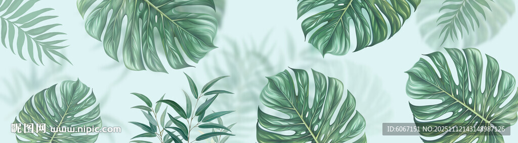 热带雨林绿植雾气模糊背景