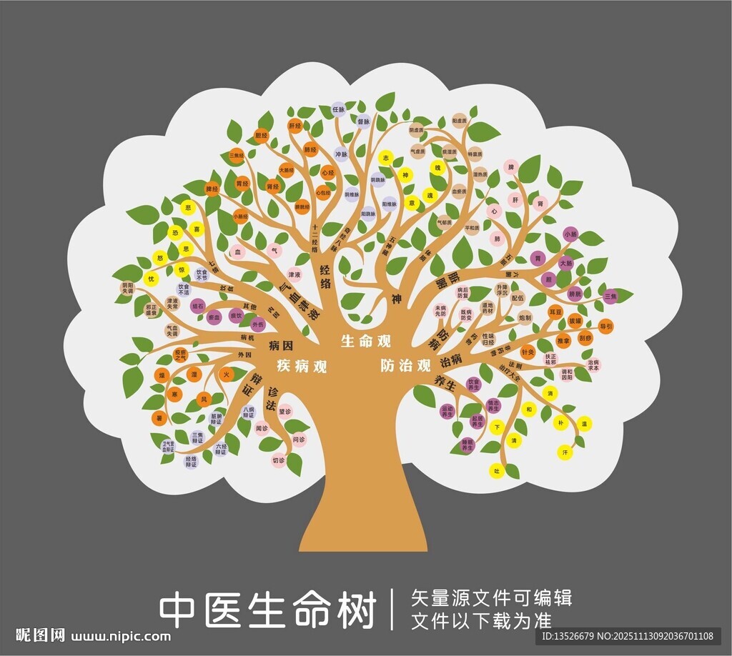 中医经络生命树