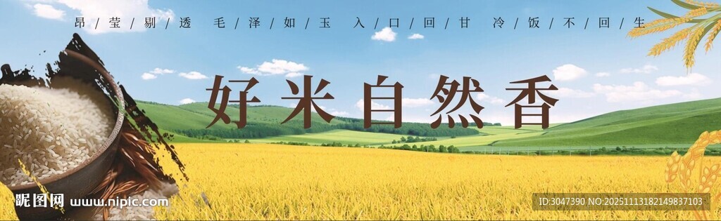 有机米优质大米宣传海报