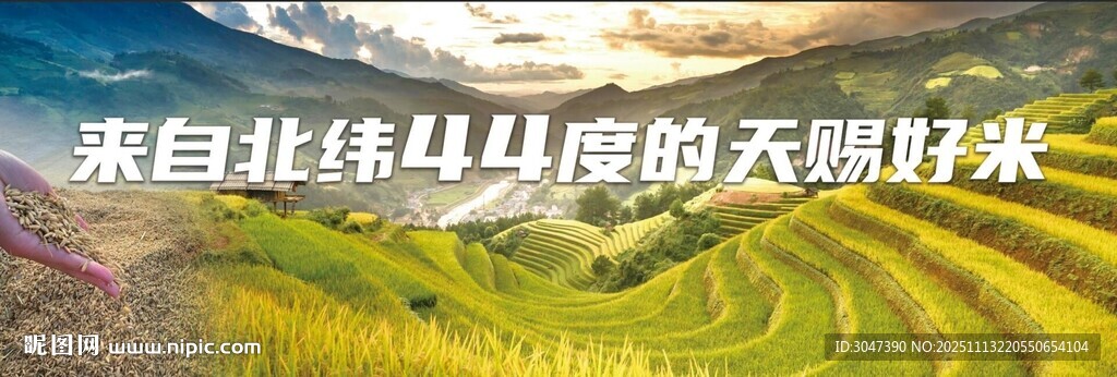 水稻大米五常大米海报灯箱