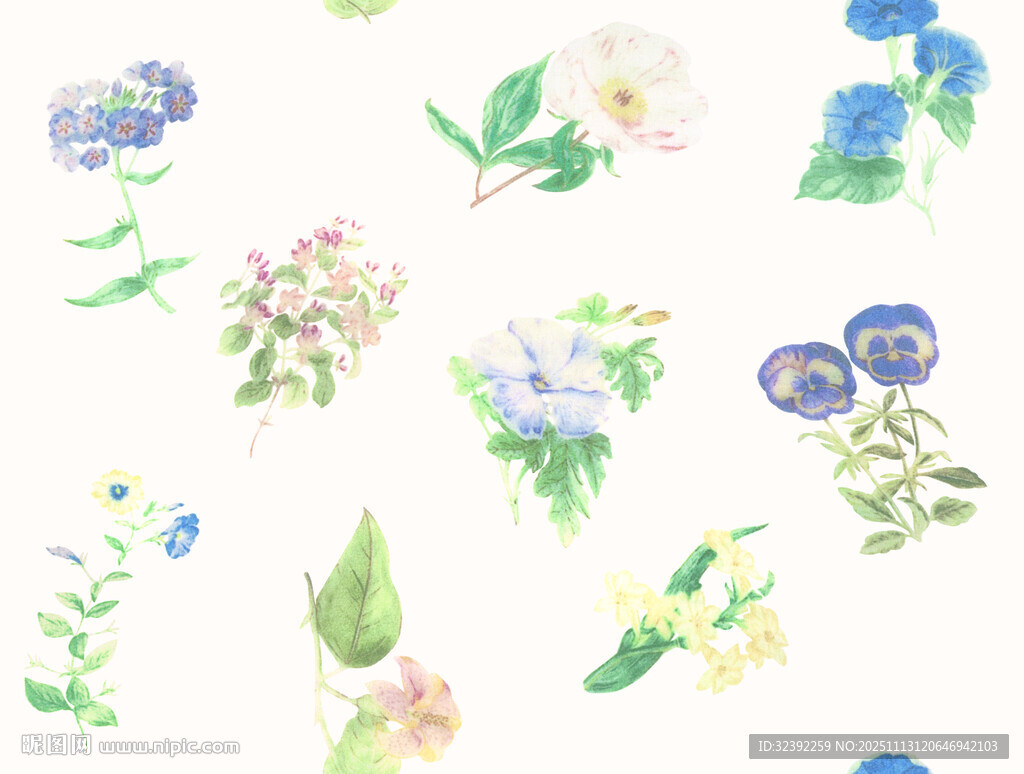 水彩花卉图案设计素材