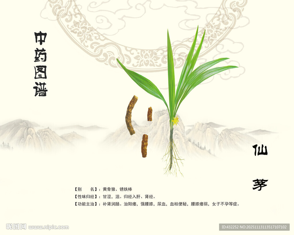 中药仙茅中草药仙茅