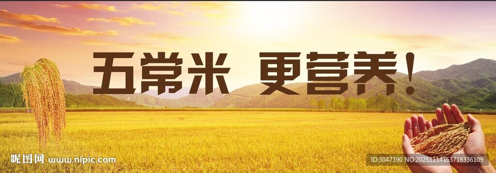 五常大米水稻宣传海报灯箱