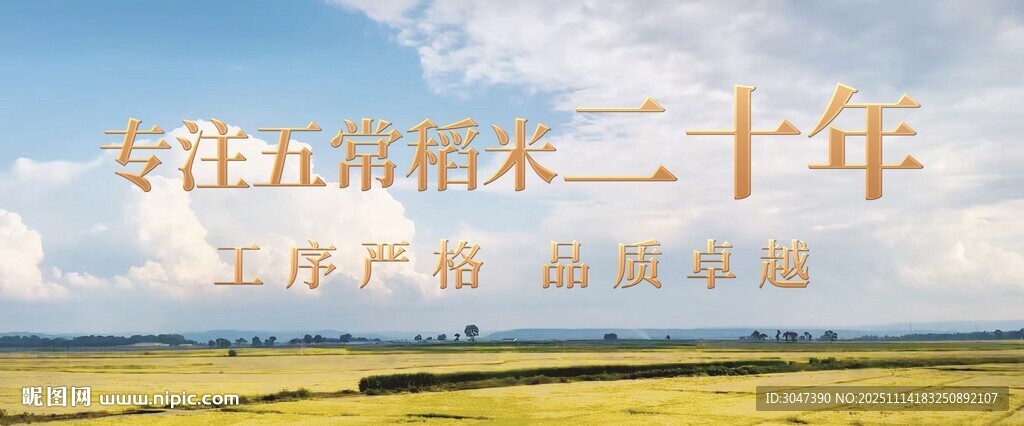 五常水稻大米海报