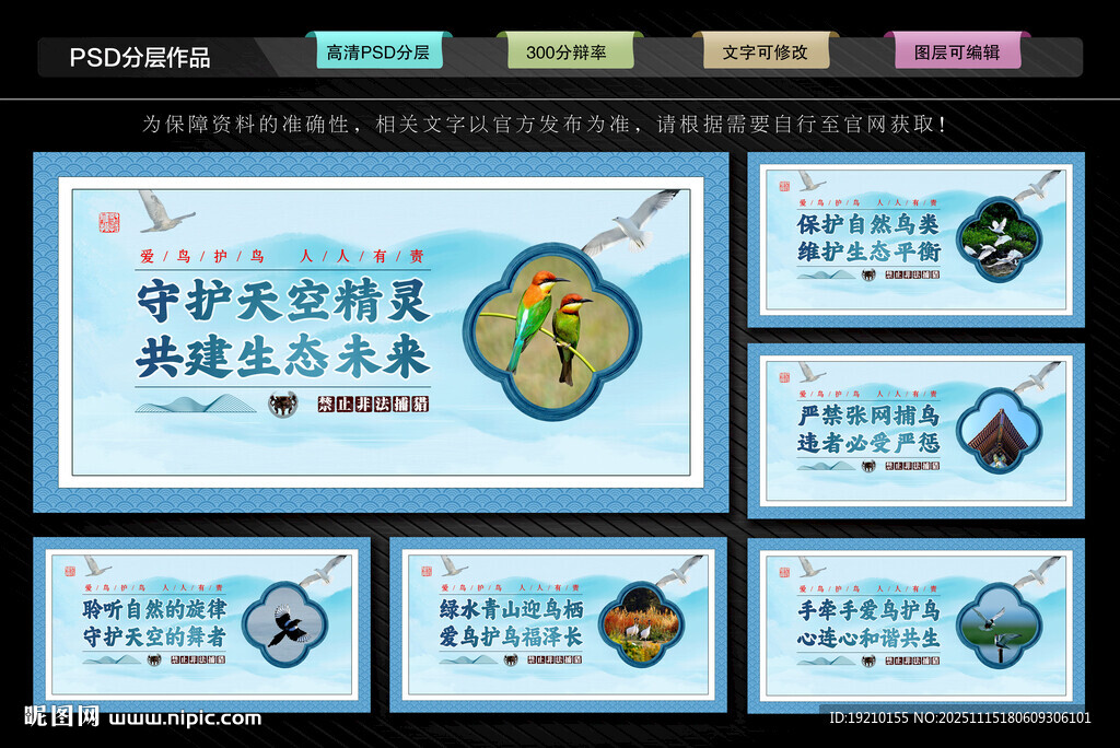 爱鸟护鸟文化墙