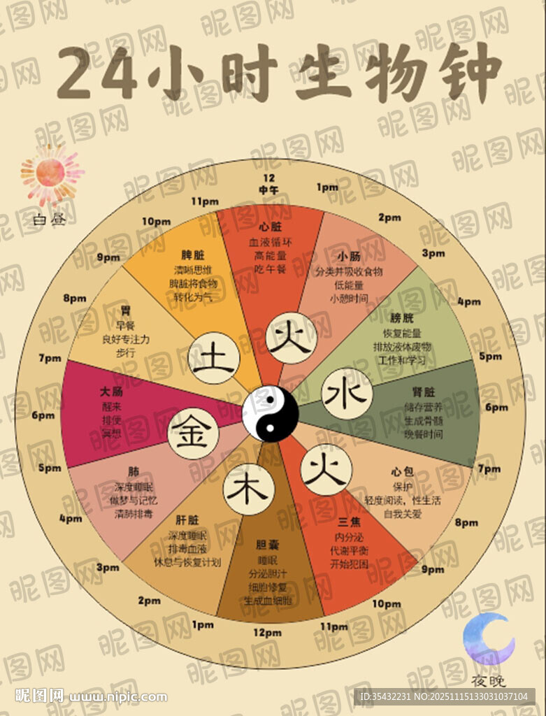 养生24小时生物钟图示